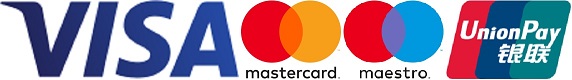 An image of the payment options available; Visa, Mastercard, Maestro, and UnionPay.